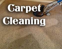 carpet cleaners in texas and dallas